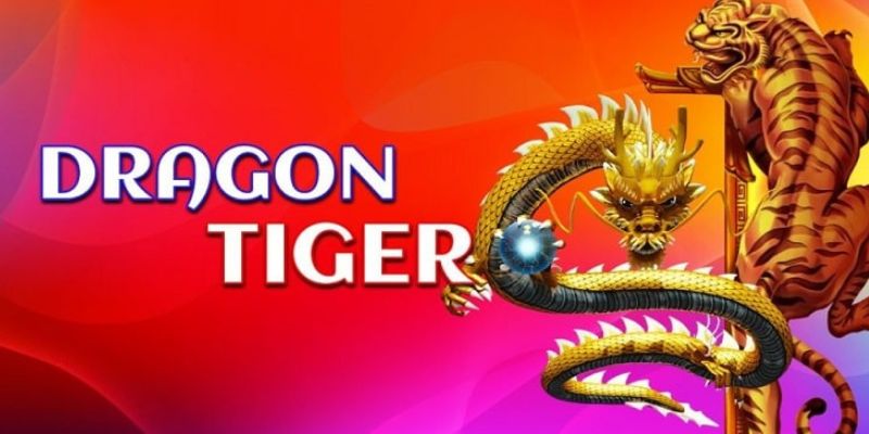 Bỏ túi ngay những bí quyết chơi Rồng Hổ hiệu quả 2025