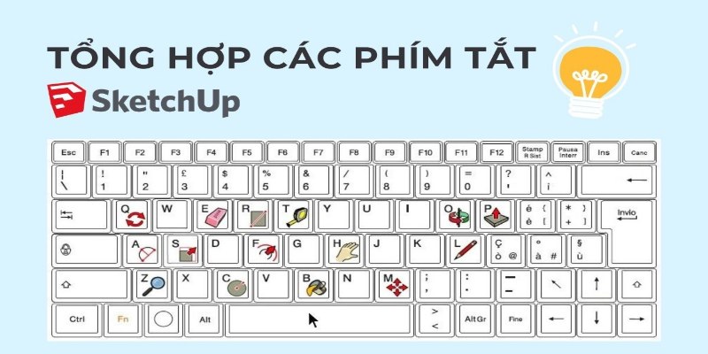 Các Lệnh Cơ Bản Trong Sketchup Mà Các Bạn Cần Nắm Rõ