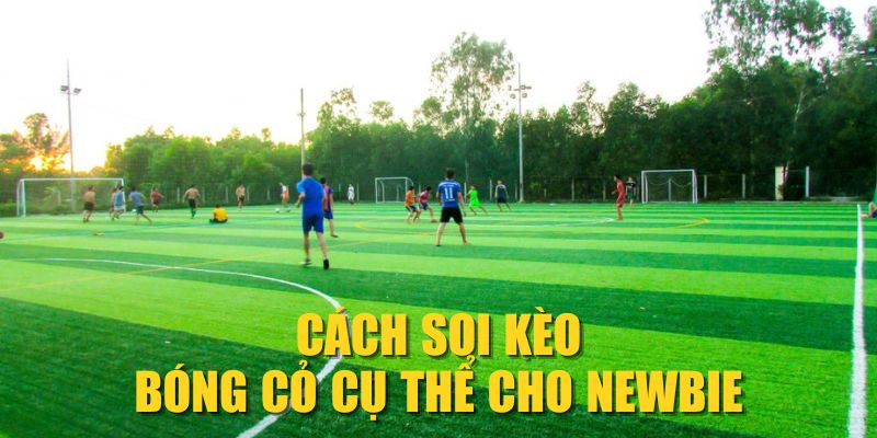 Cách soi kèo bóng cỏ cụ thể cho newbie