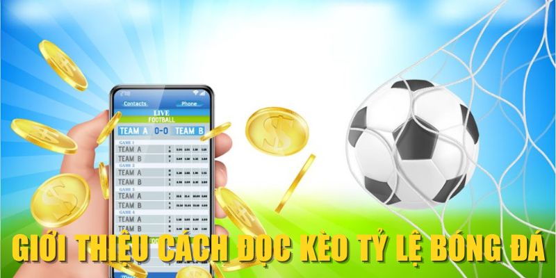 Giới thiệu cách đọc kèo tỷ lệ bóng đá