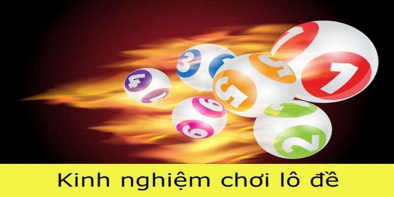 Lý do hội viên cần học kinh nghiệm đánh lô