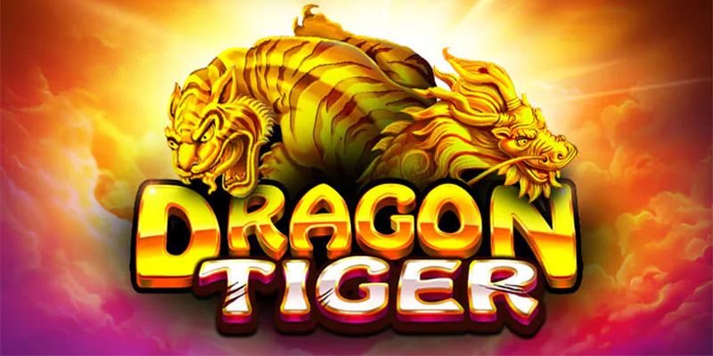 Lý do hội viên nên tham gia trải nghiệm Rồng Hổ
