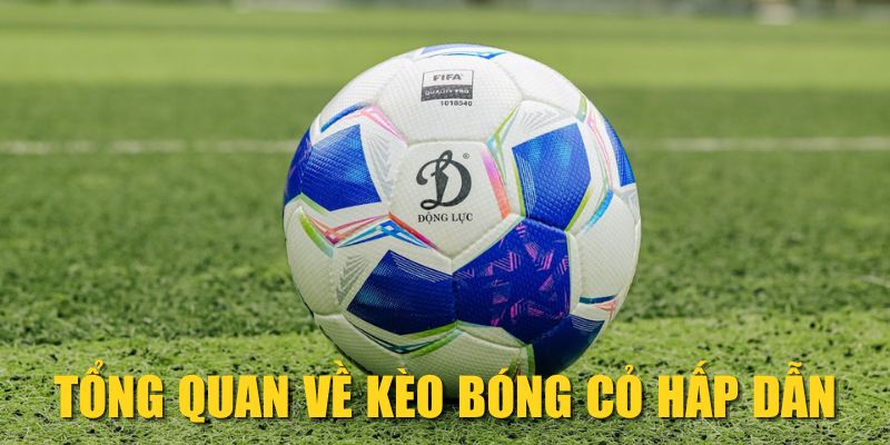 Tổng quan về kèo bóng cỏ hấp dẫn