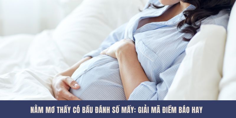 Nằm mơ thấy có bầu đánh số mấy: Giải Mã Điềm Báo Hay