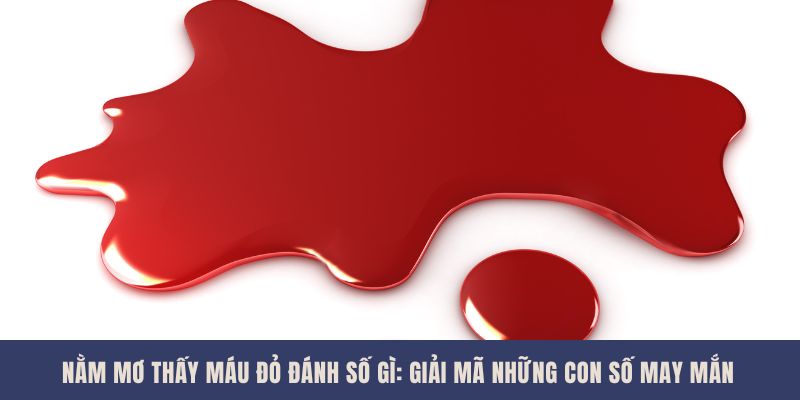 Nằm Mơ Thấy Máu Đỏ Đánh Số Gì: Giải Mã Những Con Số May Mắn