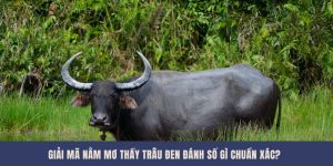 Giải Mã Nằm Mơ Thấy Trâu Đen Đánh Số Gì Chuẩn Xác?